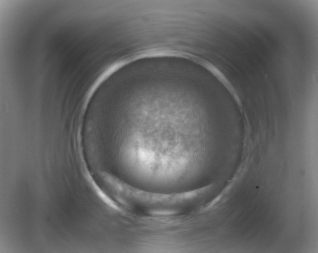 X0000082991197200702011421