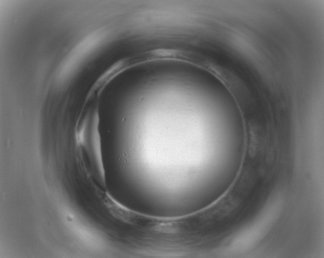 X0000082991198200702011421