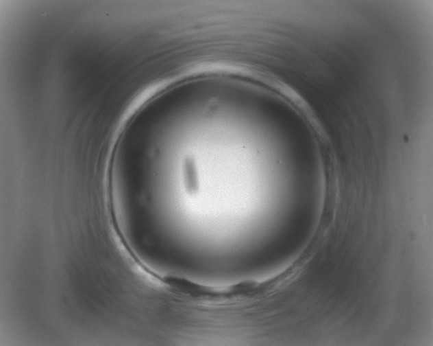 X0000082991199200702011421