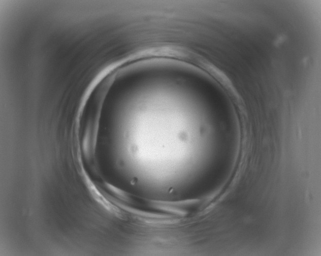 X0000082991200200702011421