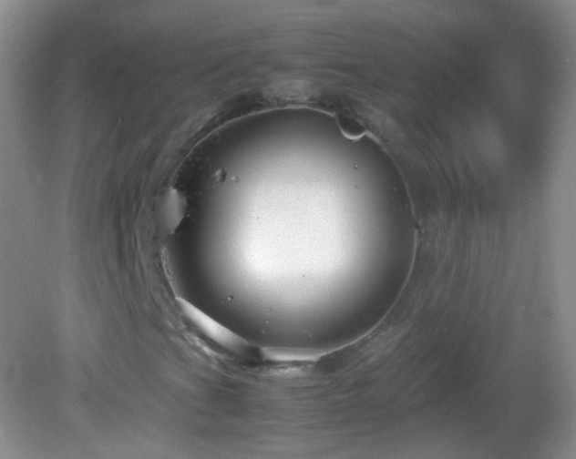 X0000082991201200702011420