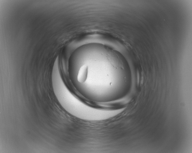 X0000082991202200702011420