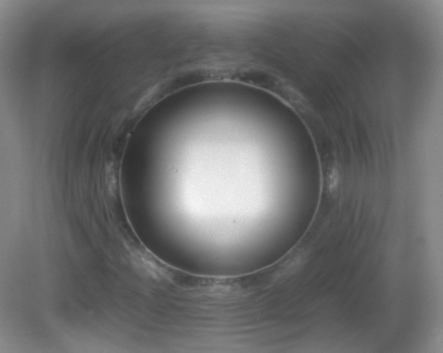 X0000082991204200702011420