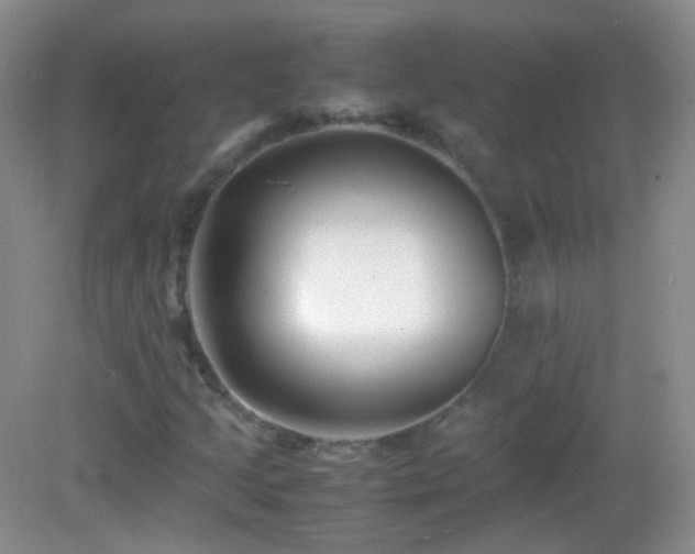 X0000082991205200702011420