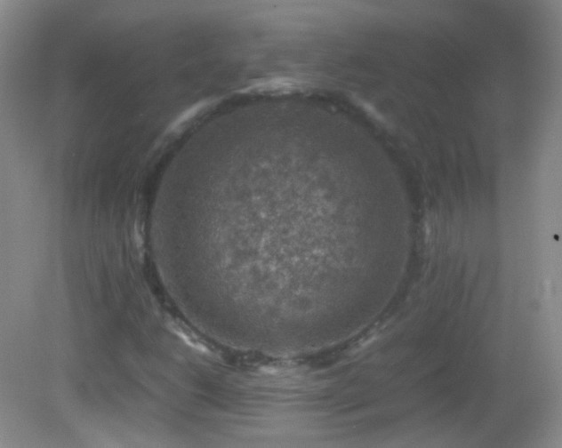 X0000082991206200702011420