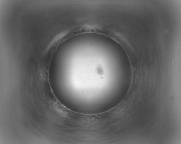 X0000082991207200702011420