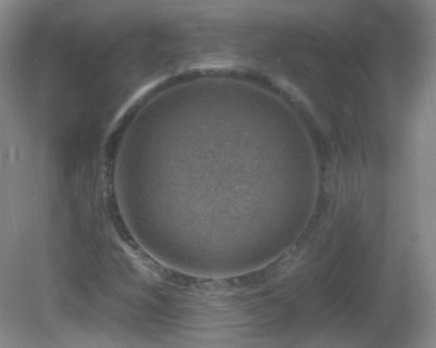 X0000082991208200702011420