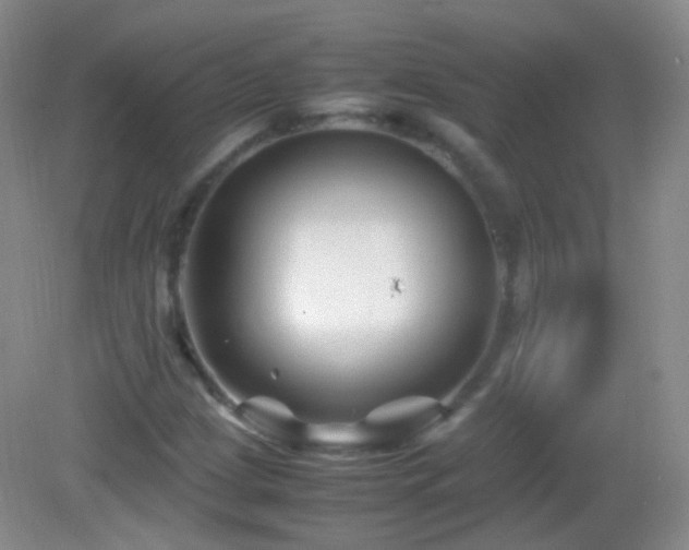 X0000082991209200702011420