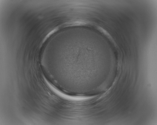 X0000082991210200702011420