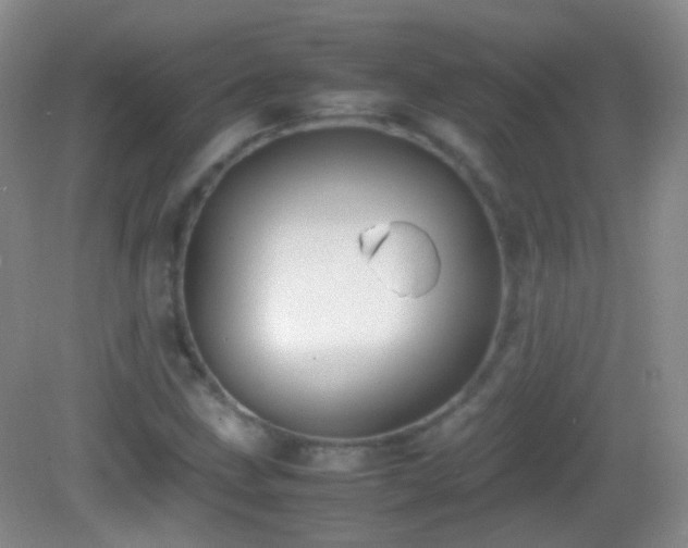 X0000082991211200702011420