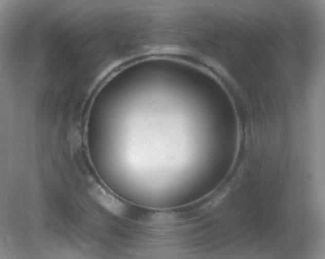 X0000082991212200702011420