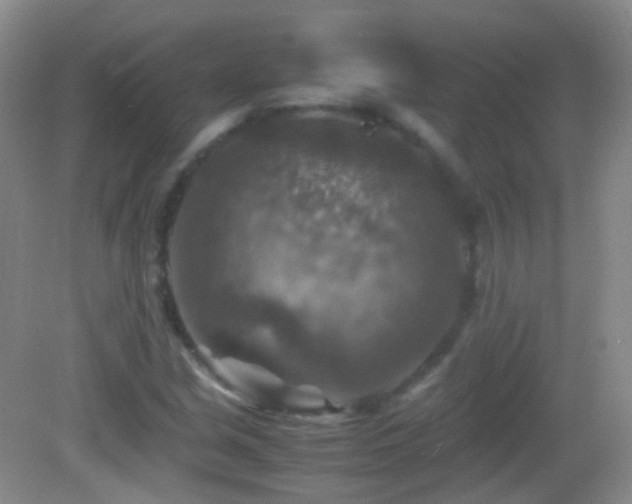 X0000082991213200702011420