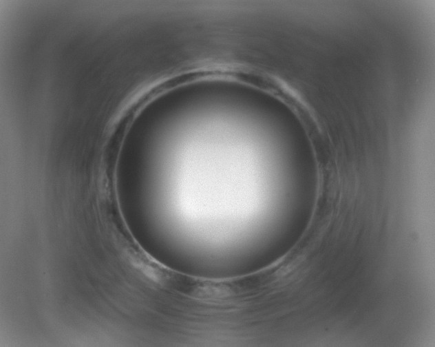 X0000082991215200702011420