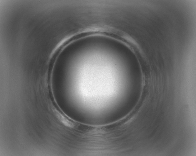 X0000082991216200702011420