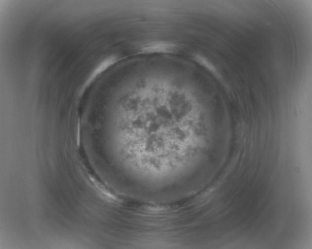 X0000082991219200702011420