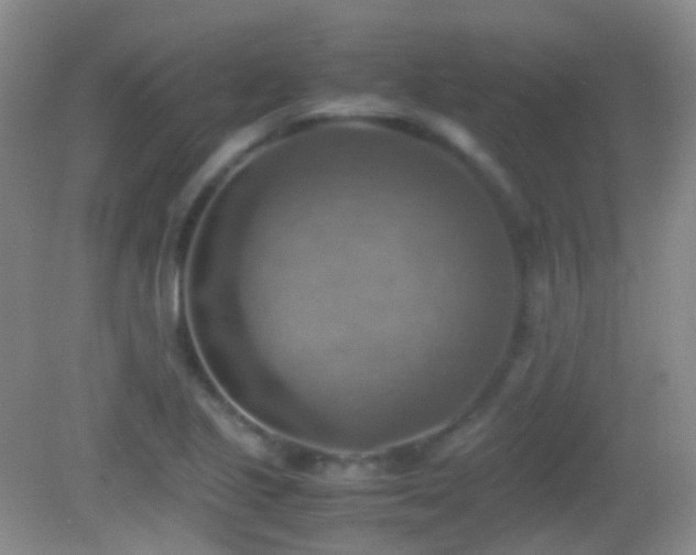 X0000082991221200702011420