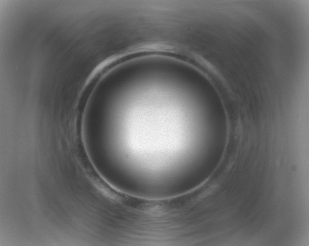 X0000082991222200702011420