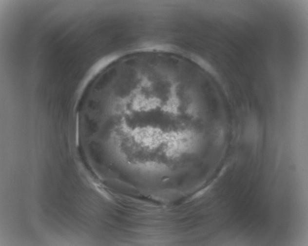 X0000082991223200702011420