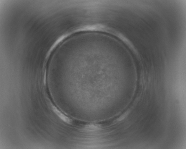 X0000082991224200702011420