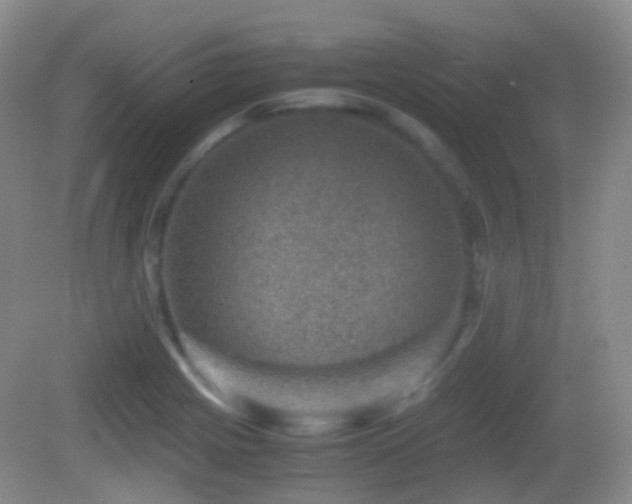 X0000082991225200702011420