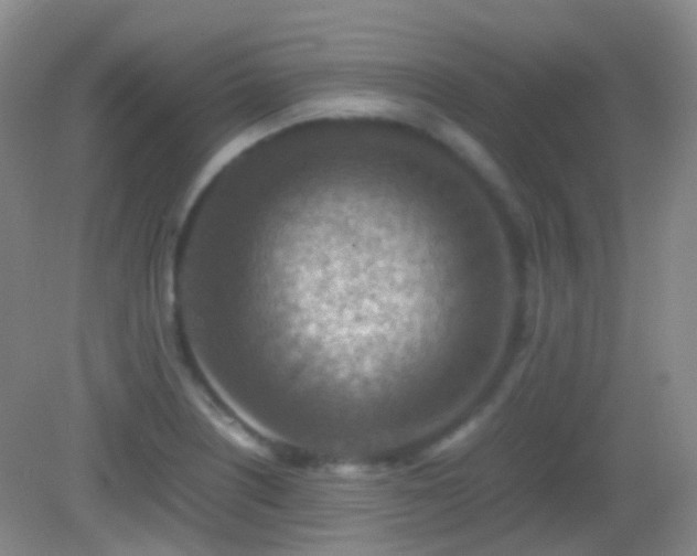 X0000082991226200702011420