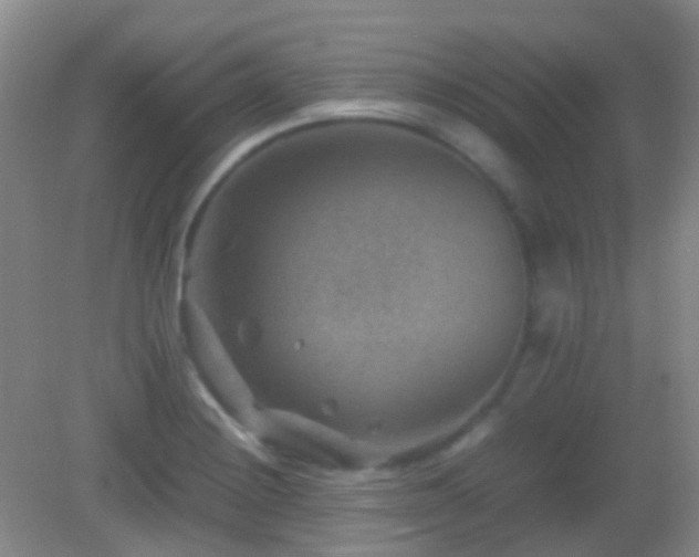 X0000082991228200702011420