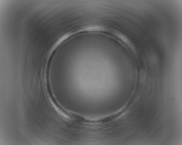 X0000082991229200702011420