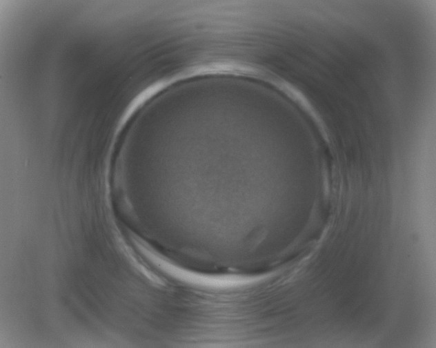 X0000082991230200702011420