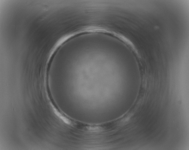 X0000082991231200702011420