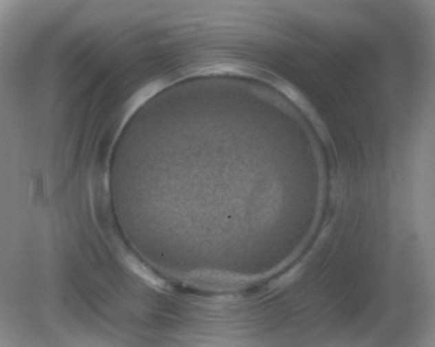 X0000082991234200702011420