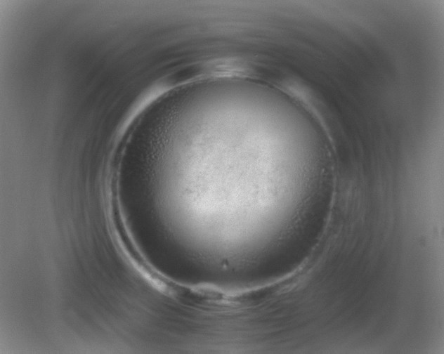 X0000082991235200702011420