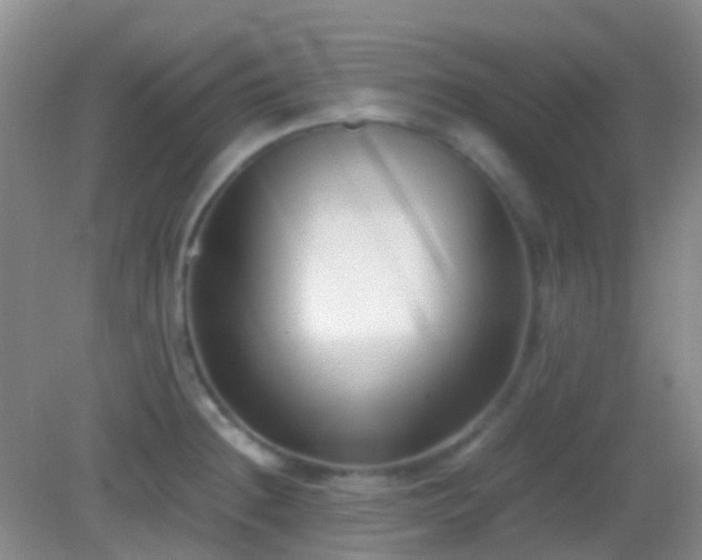 X0000082991236200702011420