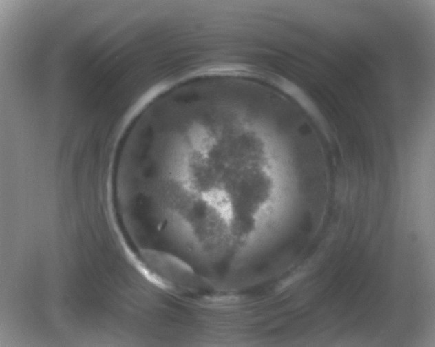 X0000082991237200702011421