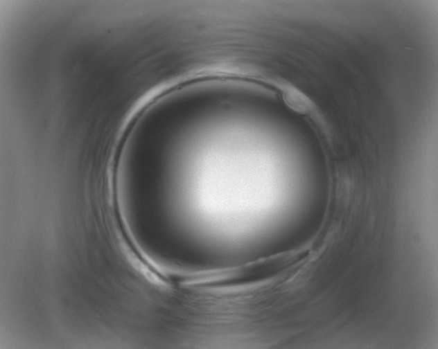 X0000082991238200702011421