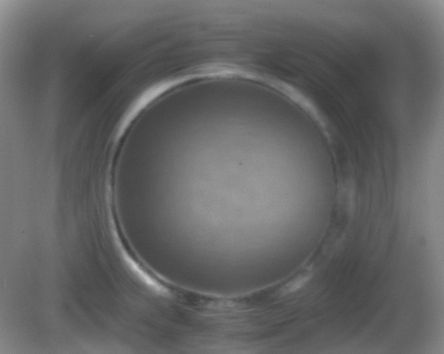 X0000082991239200702011421