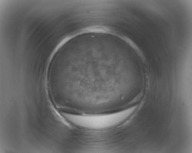 X0000082991240200702011421