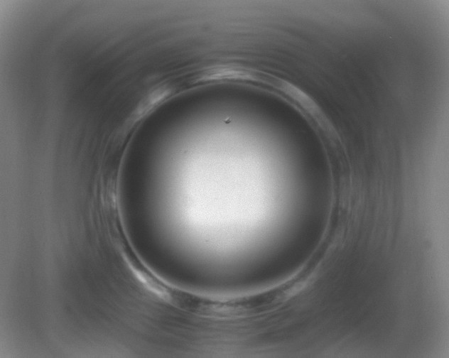 X0000082991241200702011421