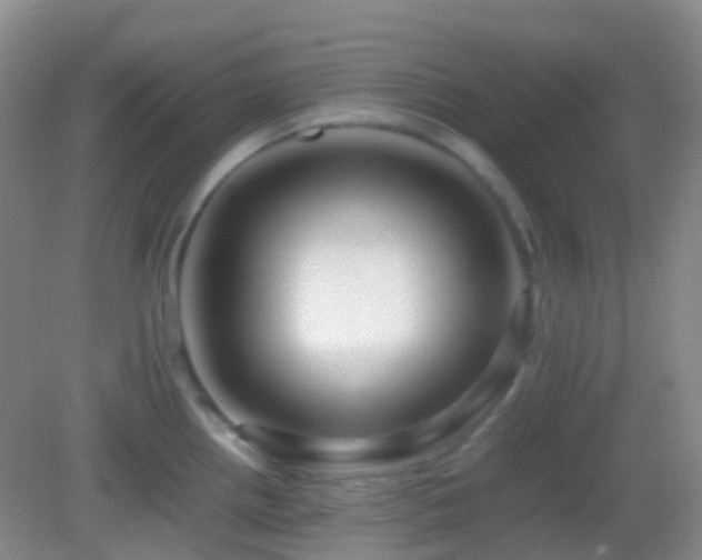 X0000082991242200702011421