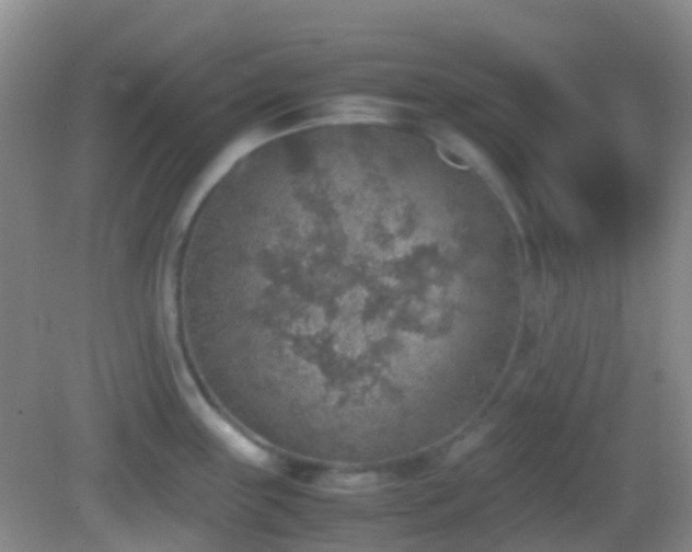 X0000082991243200702011421