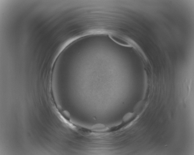 X0000082991244200702011421