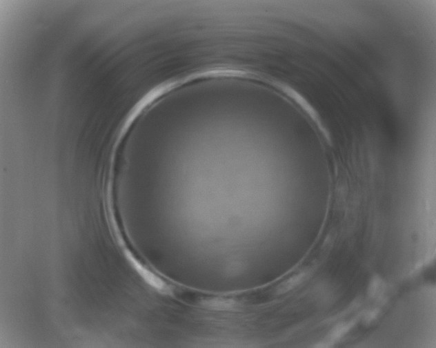 X0000082991245200702011421