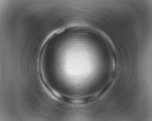 X0000082991246200702011421