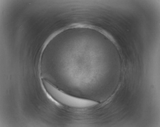 X0000082991247200702011421