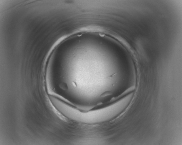 X0000082991248200702011421