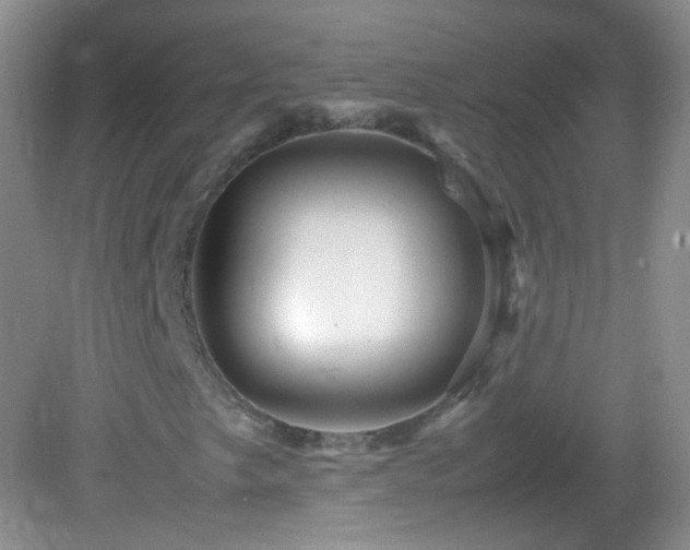 X0000082991249200702011420