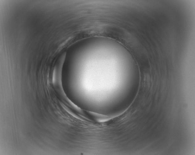 X0000082991250200702011420