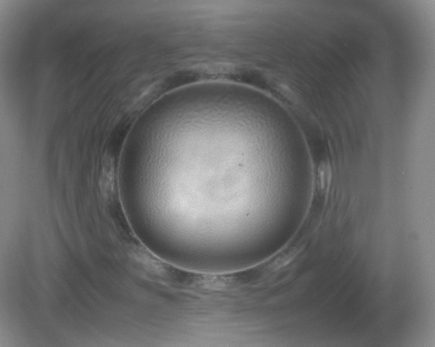 X0000082991251200702011420