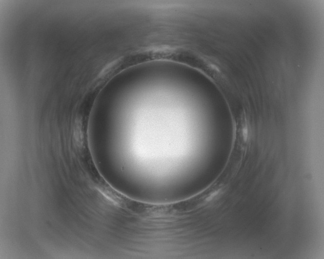 X0000082991252200702011420