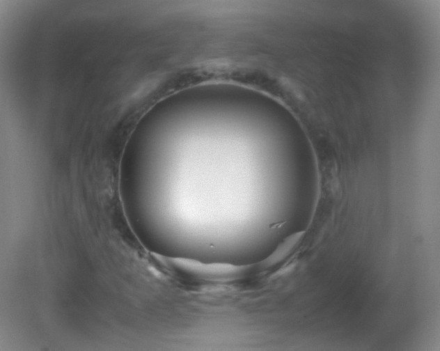 X0000082991253200702011420