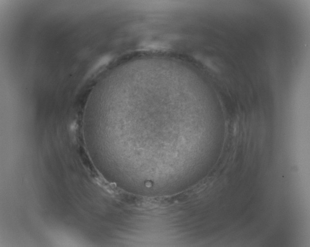 X0000082991254200702011420